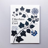 L'herbier, plantes sauvages des villes