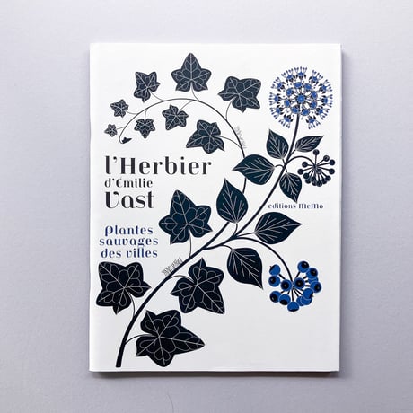 L'herbier, plantes sauvages des villes
