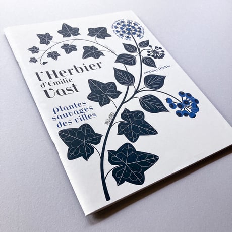 L'herbier, plantes sauvages des villes