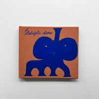 Sledujete slona