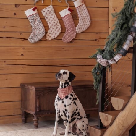 【 Rylee + Cru 】NOEL STOCKING CANDY CANE LANE