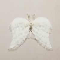 【 NORALEE 】ANGEL WINGS IVORY SHIMMER