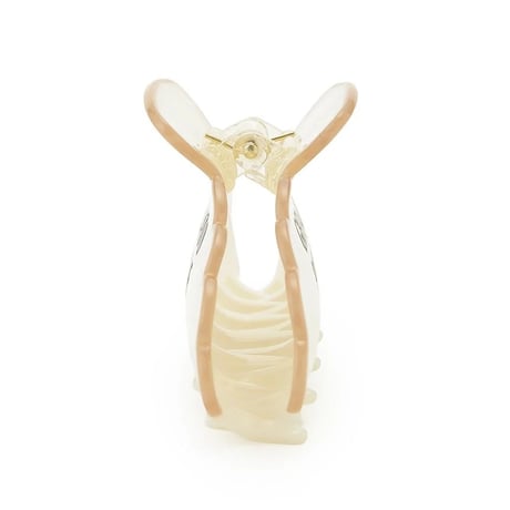 【 gelato pique 】PWGA264608 ﾊﾞｲｶﾗｰﾛｺﾞﾍｱｸﾘｯﾌﾟIVR