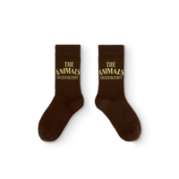 【The Animals Observatory】 BROWN SNAIL SOCKS