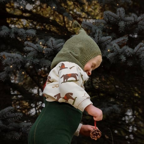 11月中旬頃発送予定ご予約【organic zoo】  Rockinghorse Parade Sweatshirt