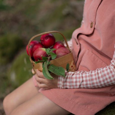 【 SOOR PLOOM 】TWIGGIE DRESS, LADYBIRD