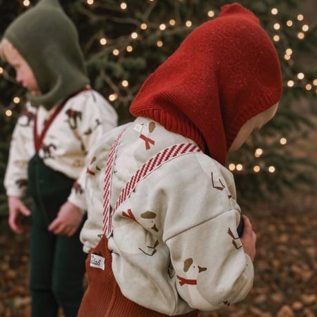 11月中旬頃発送予定ご予約【organic zoo】   Christmas Goose Sweatshirt