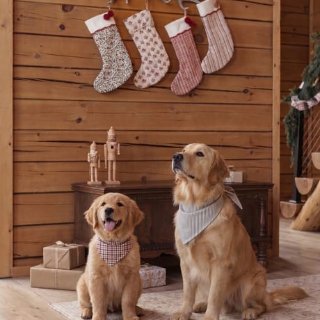 【 Rylee + Cru 】NOEL STOCKING CANDY CANE LANE