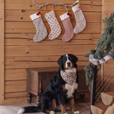 【 Rylee + Cru 】NOEL STOCKING HOLIDAY FLORAL