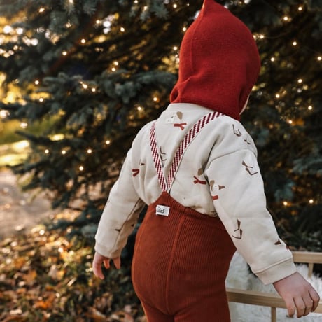 11月中旬頃発送予定ご予約【organic zoo】   Christmas Goose Sweatshirt