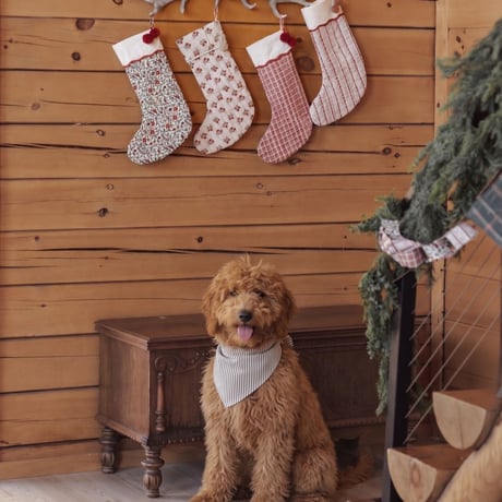 【 Rylee + Cru 】NOEL STOCKING RUBY PLAID