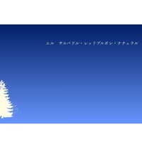 【エルサルバドル・ラ・エスメラルダ農園ブルボン】