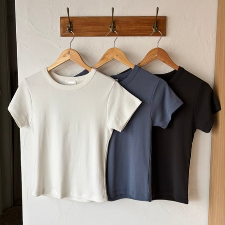 basic t-shirt (3color)