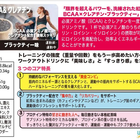 ★近日発売予定★ウェルネスサーバー用　BCAA＆クレアチン ブラックティー味 500杯分