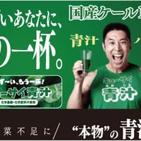 ウェルネスサーバー用　キューサイ青汁　500ｇ