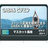 ★近日発売予定★ウェルネスサーバー用　GABA＆ビタミン マスカット味 500杯分