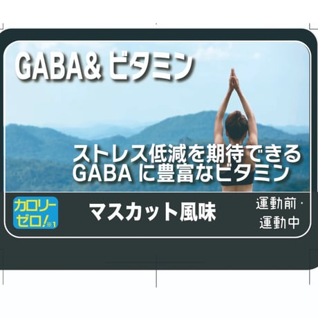 ★近日発売予定★ウェルネスサーバー用　GABA＆ビタミン マスカット味 500杯分