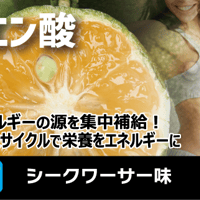 ウェルネスサーバー用　クエン酸　シークワーサー味　500杯分