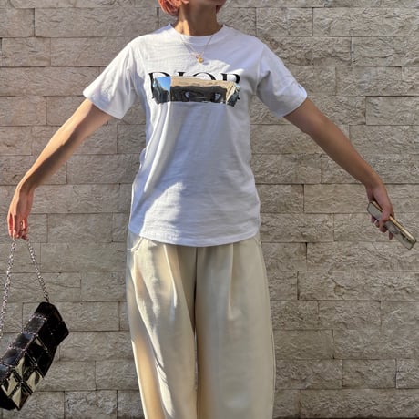 ユニセックスパロディD Tシャツ(ホワイト×シルバー)