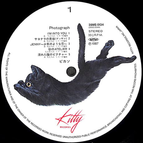 ピカソ / フォトグラフ [※国内盤,品番:28MS0134］(LPレコード)