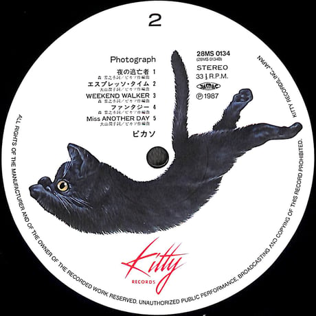 ピカソ / フォトグラフ [※国内盤,品番:28MS0134］(LPレコード)