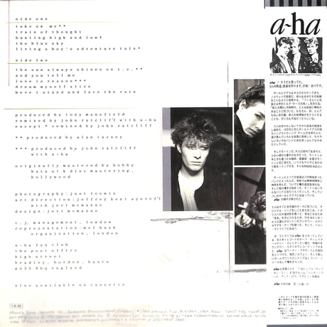 a-ha / ハンティング・ハイ・アンド・ロウ [※国内盤,品番:P-13153］(LPレコード)