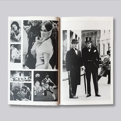 Feldmann: Voyeur  / 7. rev. Auflage 2021 (lila)