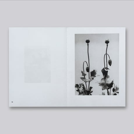 Jochen Lempert / Natural Sources Deutsch