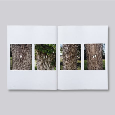 J. John Priola / Natural Light