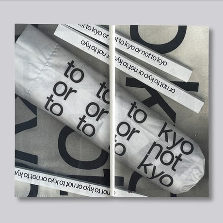 Experimental Jetset / Statement and Counter-Statement 2: Typologies/Typographies