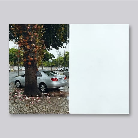 Wolfgang Tillmans / The Cars