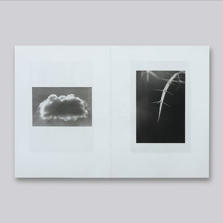 Jochen Lempert / Natural Sources Deutsch