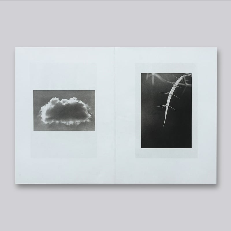 Jochen Lempert / Natural Sources Deutsch | POST