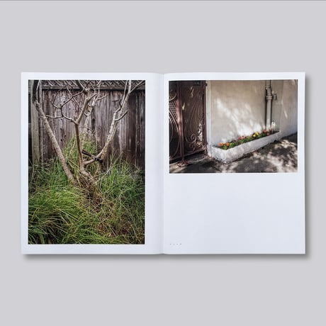 J. John Priola / Natural Light