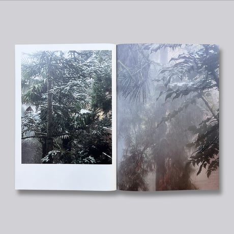 Ben Thorp Brown / Cura's Garden
