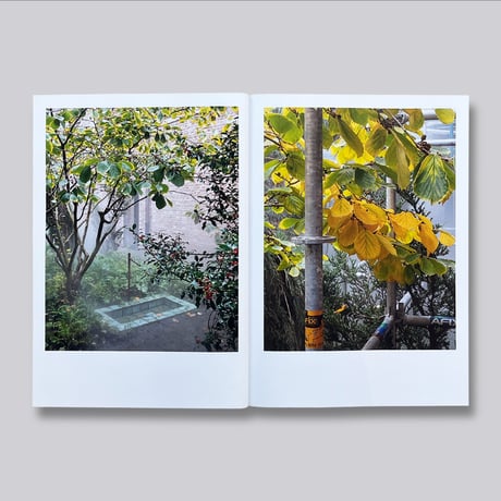 Ben Thorp Brown / Cura's Garden