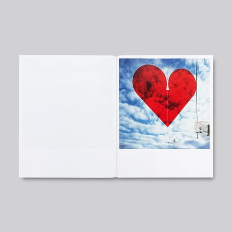 Jason Fulford / Frozen Features