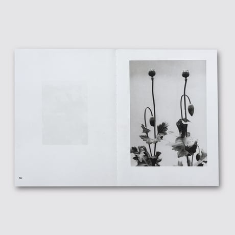 Jochen Lempert / Natural Sources Deutsch