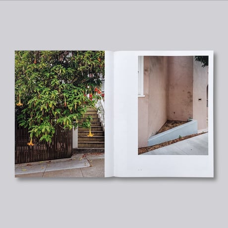 J. John Priola / Natural Light