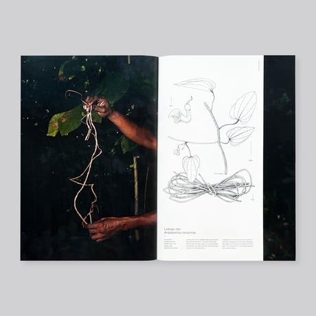 Michelle Piergoelam / Fourteen Leaves and a Cup of Water