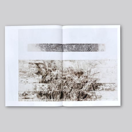 Giuseppe Penone / Thoughts in the Roots
