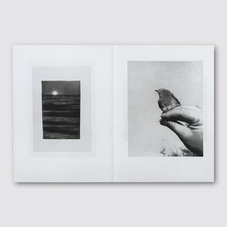Jochen Lempert / Natural Sources Deutsch