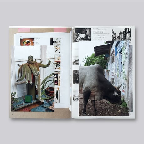 Wolfgang Tillmans / Things Matter, Dinge Zählen