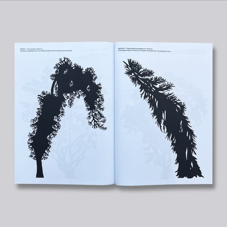 Ben Thorp Brown / Cura's Garden