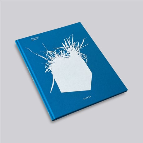 Boris Loder / Particles