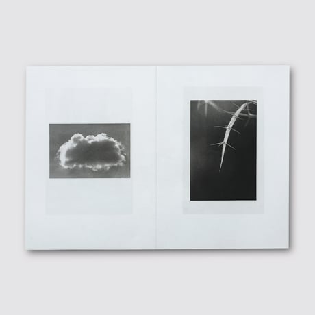 Jochen Lempert / Natural Sources Deutsch