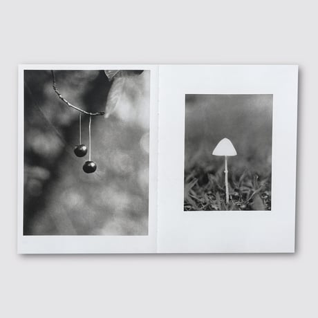 Jochen Lempert / Natural Sources Deutsch