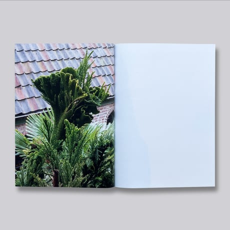 Ben Thorp Brown / Cura's Garden