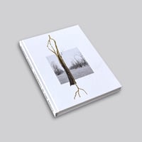 Giuseppe Penone / Thoughts in the Roots