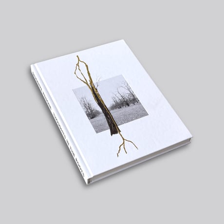 Giuseppe Penone / Thoughts in the Roots